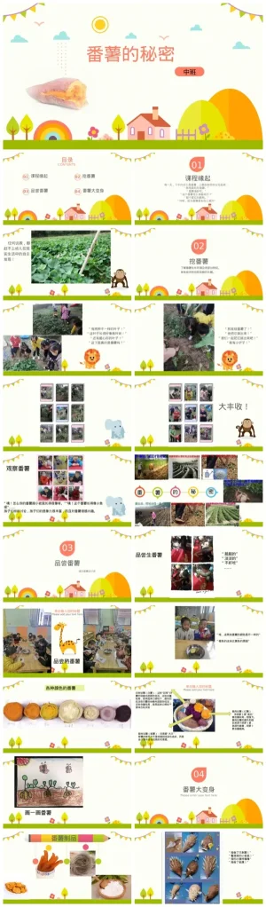 幼儿园中班《番薯的秘密》探索活动PPT及PDF资源包下载