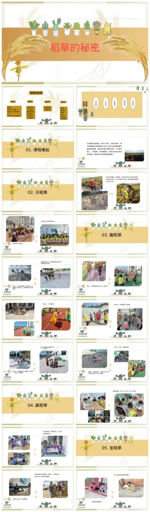 幼儿园小班《稻草的秘密》PPT课件及PDF资料zip下载