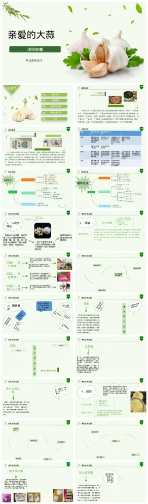 幼儿园小班《亲爱的大蒜》认识蔬菜教学资源包，含PDF与PPT课件下载。