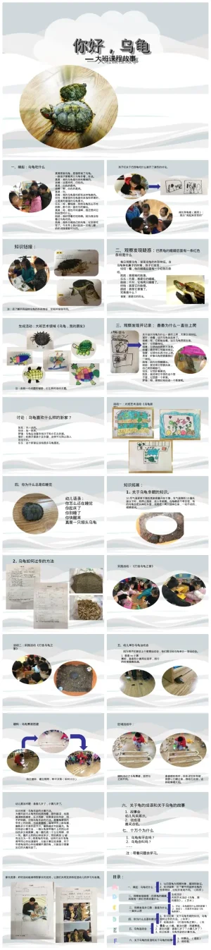 幼儿园大班《你好，乌龟》动物主题教学资源包，含PDF与PPT文件，支持zip下载。