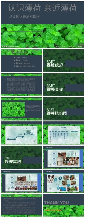 幼儿园大班《认识薄荷-亲近薄荷》教学资源包，含PDF与PPT文件，支持ZIP下载。