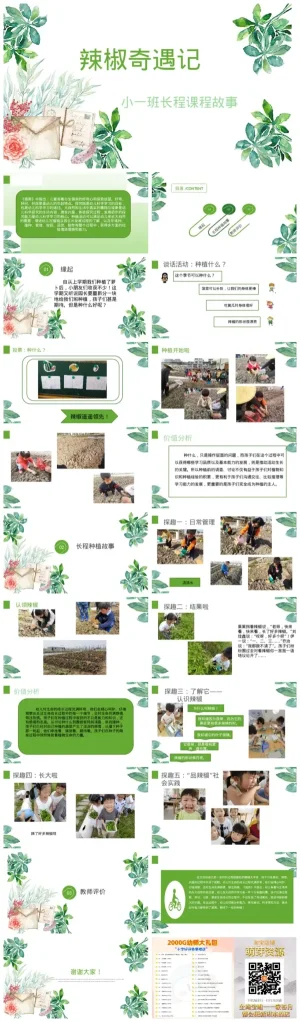 小班观察植物活动《辣椒奇遇记》课件资料包（含PDF/PPT）