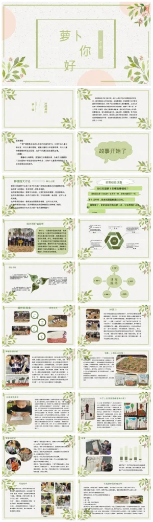 幼儿园大班《萝卜，你好》观察劳动主题PPT与PDF资源下载