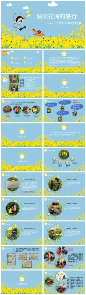 幼儿园小班《油菜花》教学资源包（含PDF、PPT及ZIP下载）